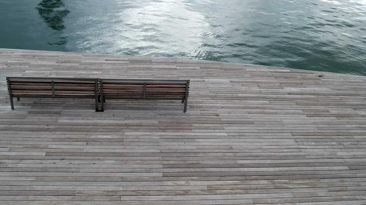 Illustration zu Buckelwal Ostsee