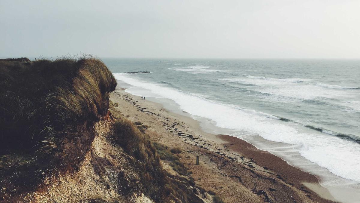 Symbolbild zum Thema Buckelwal Ostsee