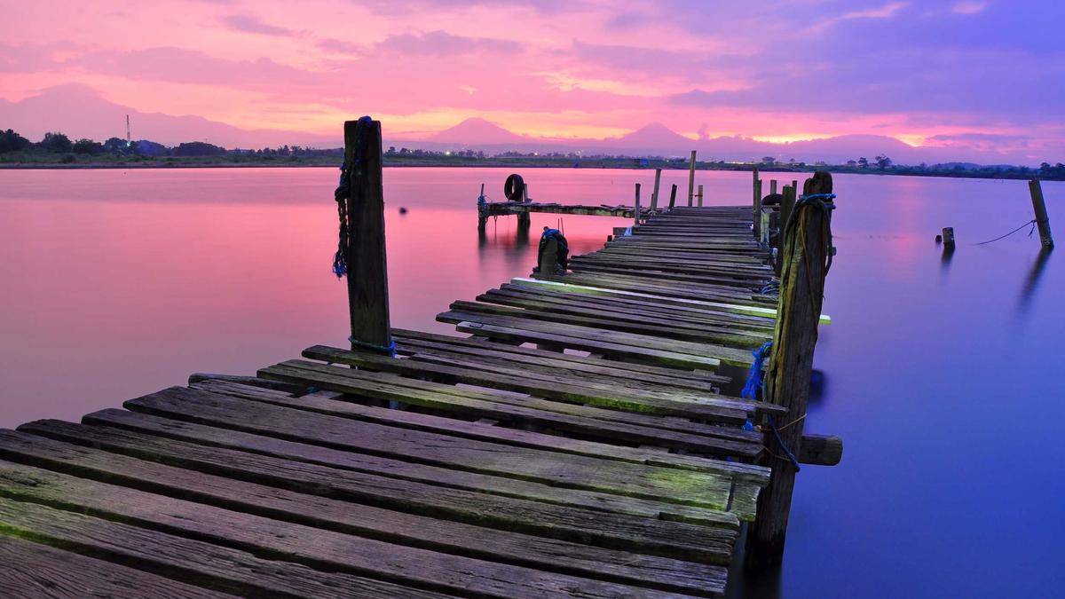 Detailansicht: Buckelwal Ostsee