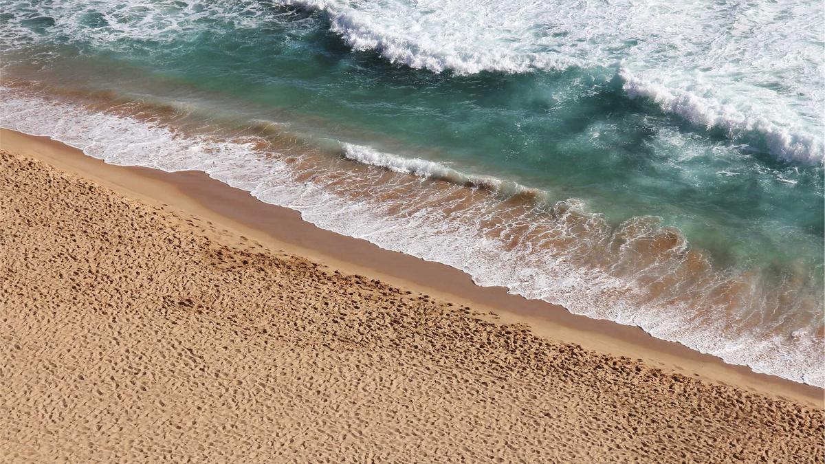 Detailansicht: Buckelwal Ostsee