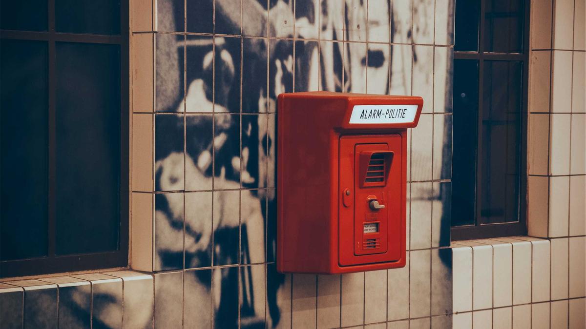 Detailansicht: Buckelwal Wismar