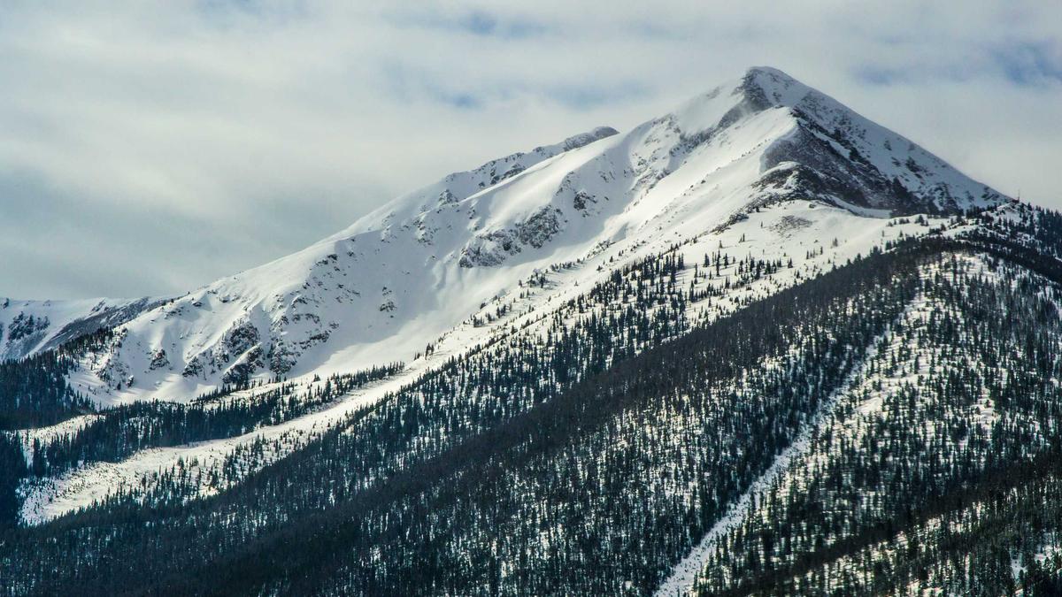 Bundesverband Der Deutschen Industrie Detailansicht: Bundesverband Der Deutschen Industrie