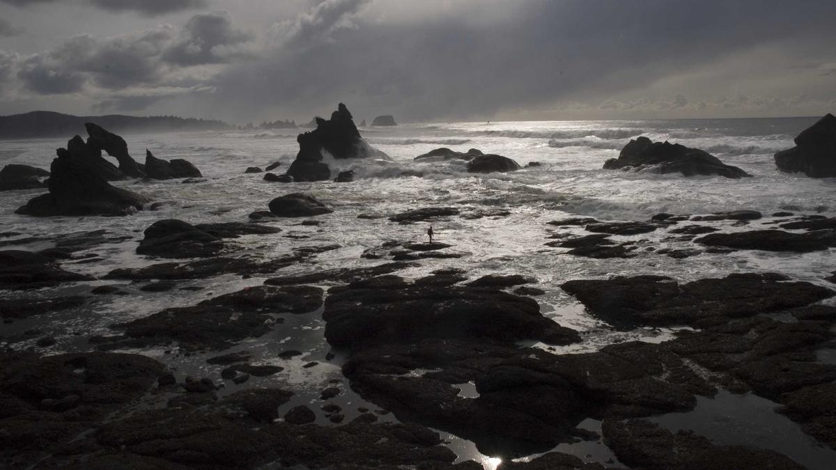 Illustration zu Christian Lindner