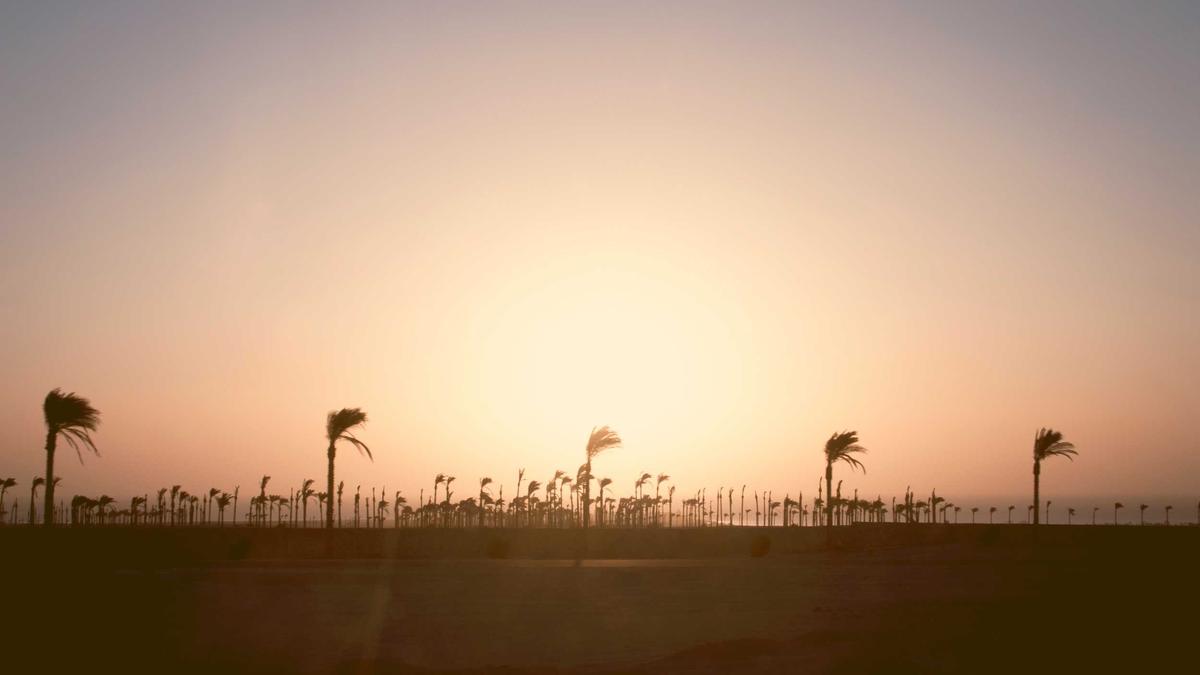 Illustration zu Delicate Details