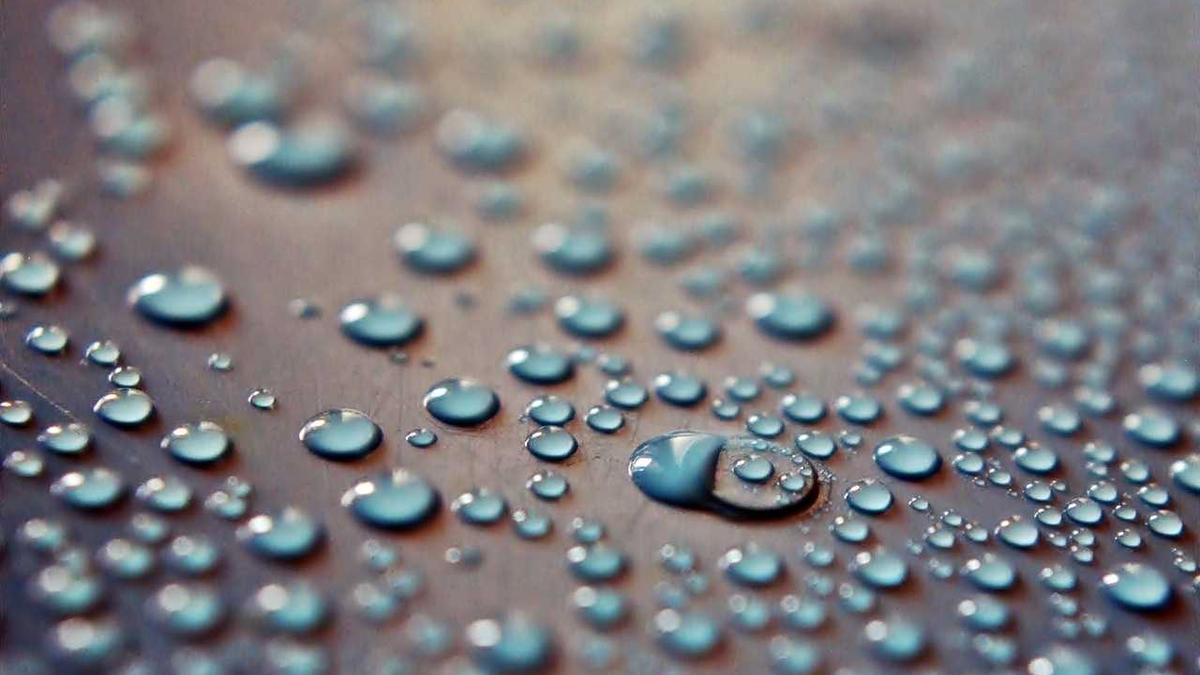 Felicitas Then Verlobung Illustration zu Felicitas Then Verlobung