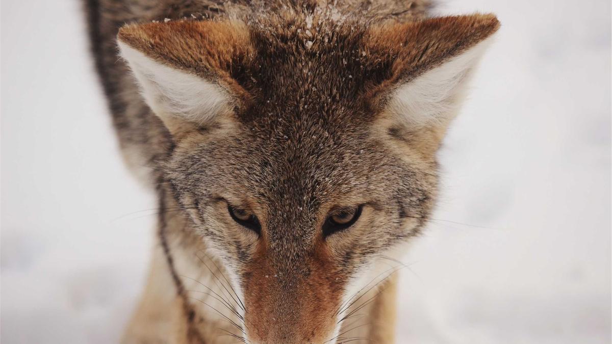 Finde Den Fehler Spiel Symbolbild zum Thema Finde Den Fehler Spiel