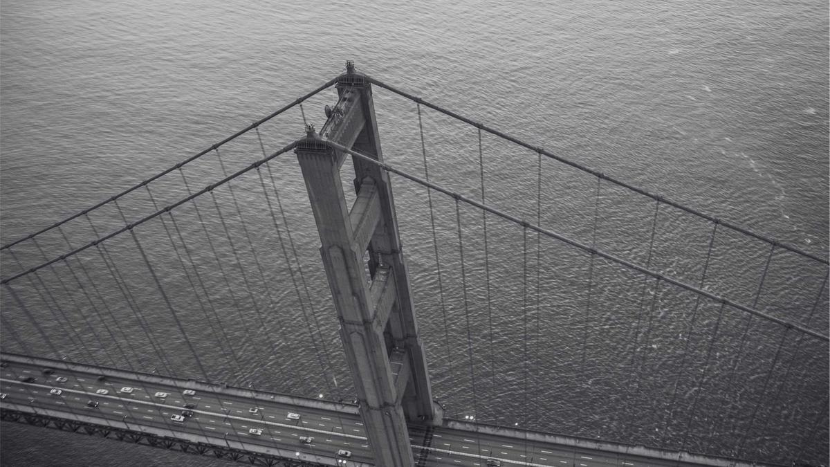 Detailansicht: Fledermauskasten Anbringen