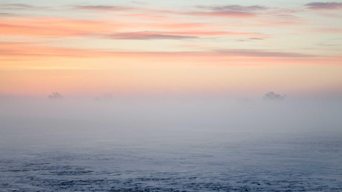 Symbolbild zum Thema Frances Valentine Atlantic Pacific