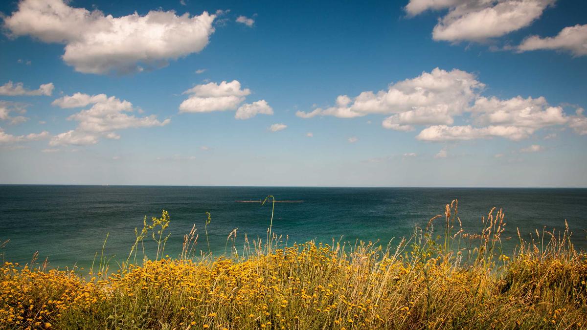 Illustration zu Frühlingsmode Damen