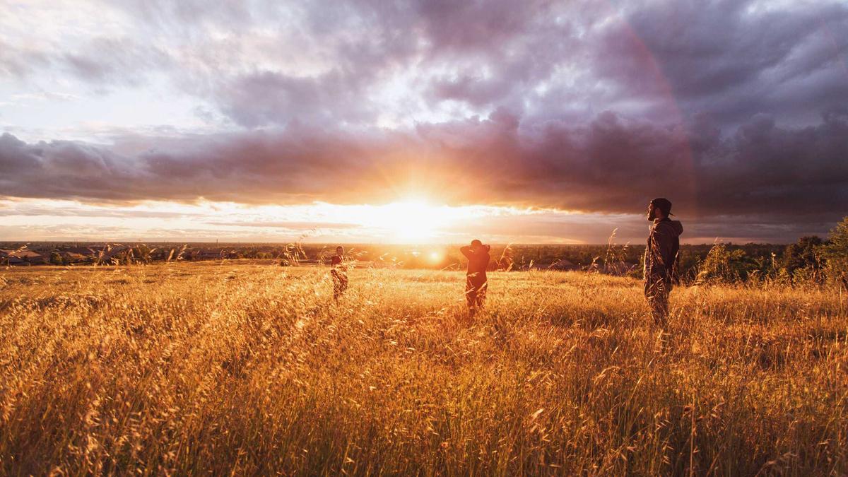 Detailansicht: George R. R. Martin