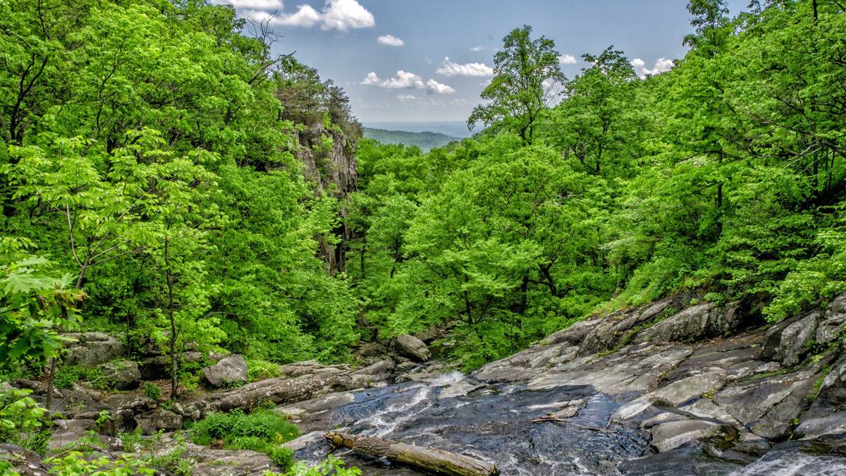 Symbolbild zum Thema Gülcan Kamps