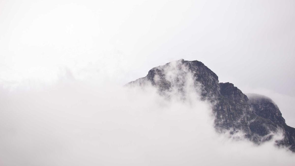 Detailansicht: Harry Styles