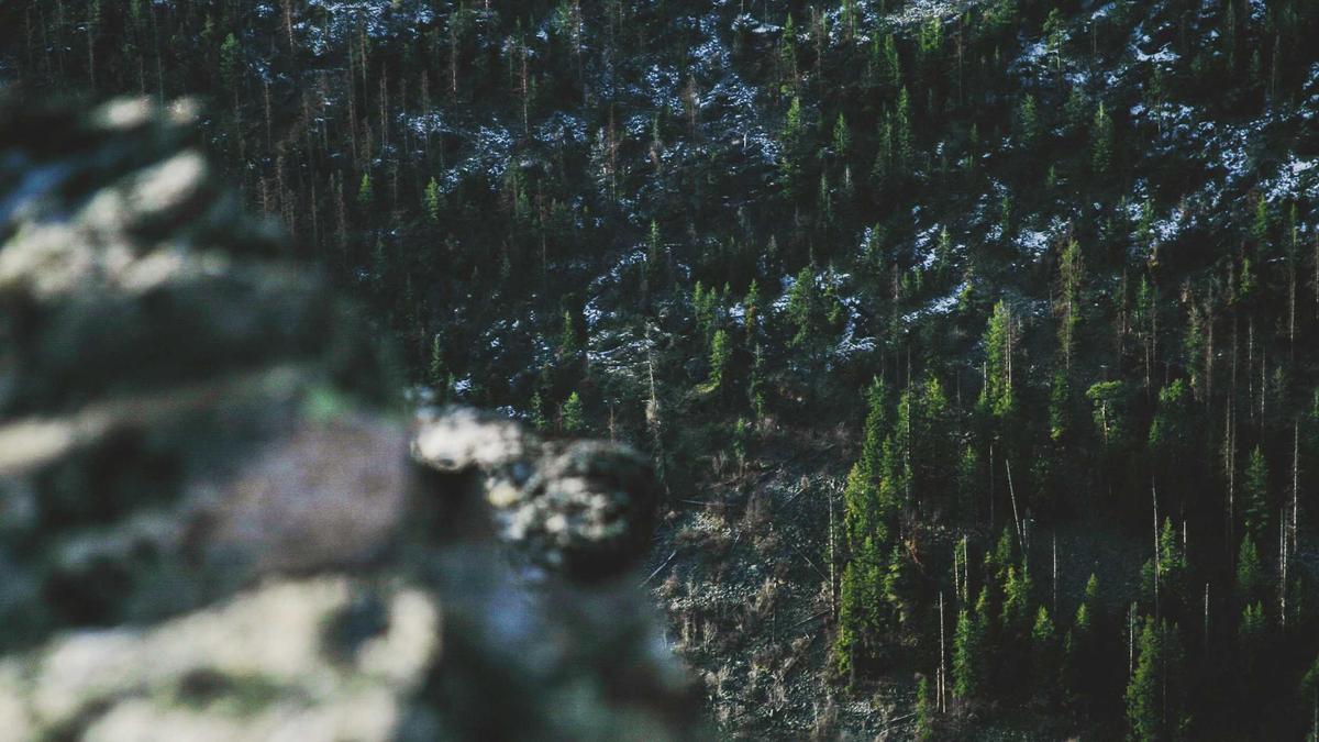 Havelse – Saarbruecken Detailansicht: Havelse – Saarbruecken