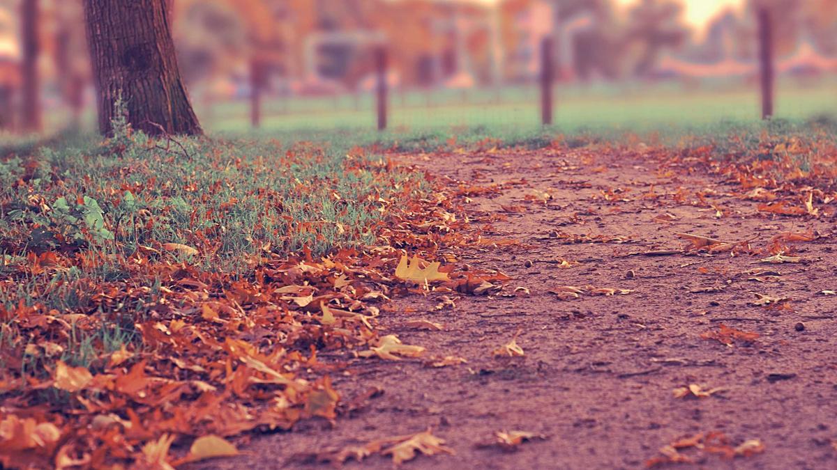 Symbolbild zum Thema Icymi April