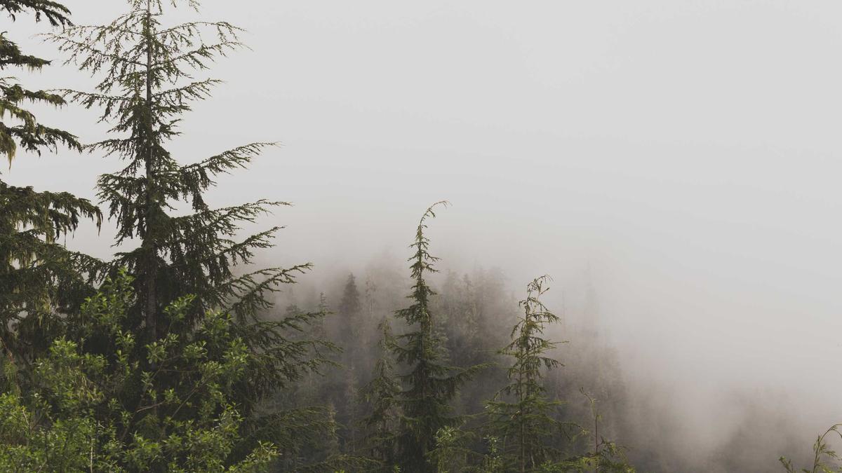 Inside Paradeplatz Detailansicht: Inside Paradeplatz