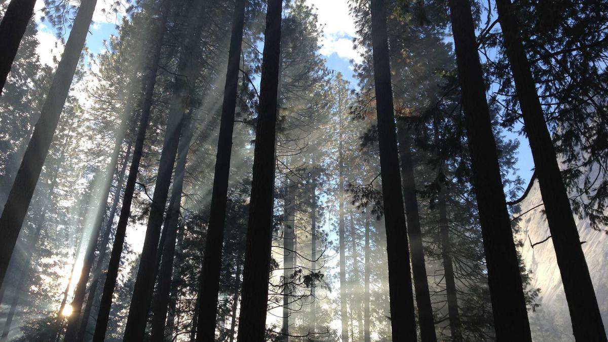 Jan Hofer Mallorca Detailansicht: Jan Hofer Mallorca