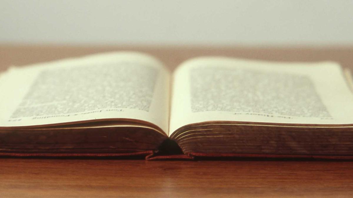 Jared Goldberg Detailansicht: Jared Goldberg