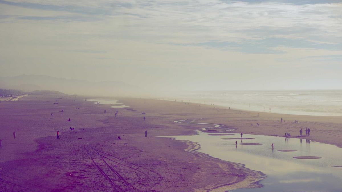 Detailansicht: Julia Scheib