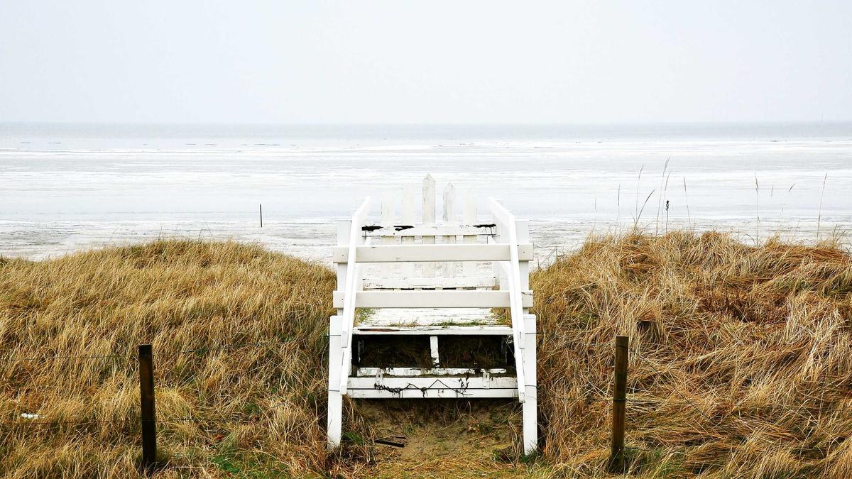 Detailansicht: Juventus – Genua