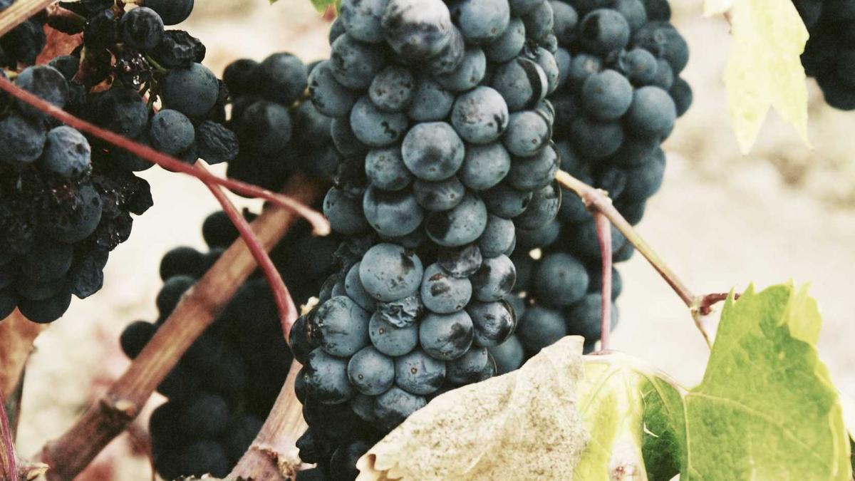 Kalenderblatt 16 April Detailansicht: Kalenderblatt 16 April