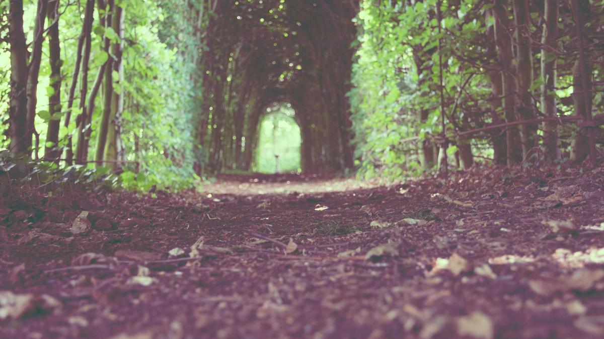 Illustration zu Karl Heinz Grasser Privatkonkurs