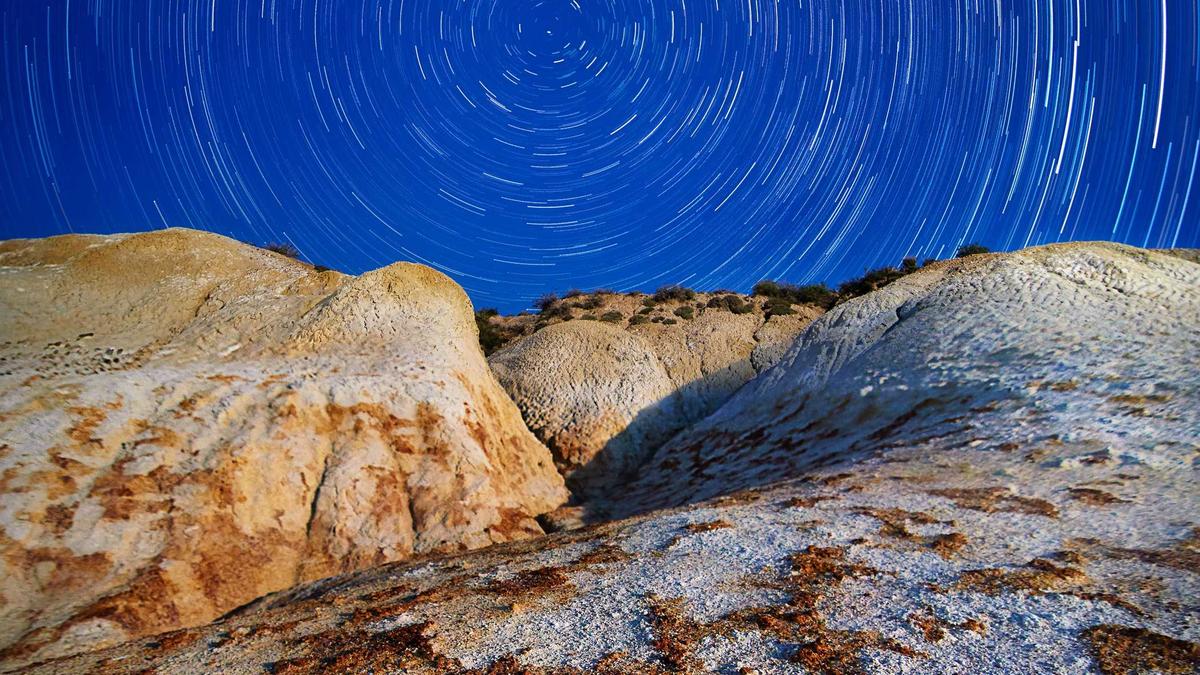 Komposter Garten Illustration zu Komposter Garten