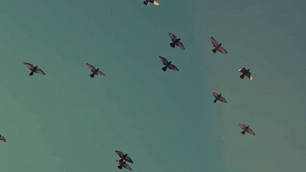 Illustration zu Lidl Butter