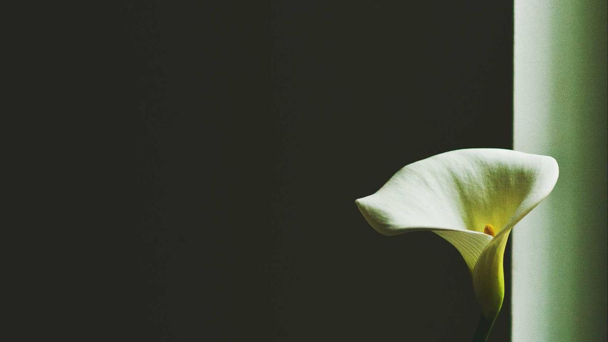 Illustration zu Lukas Podolski Sohn