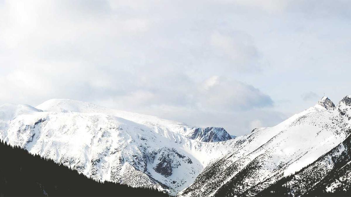 Detailansicht: Marie Louise