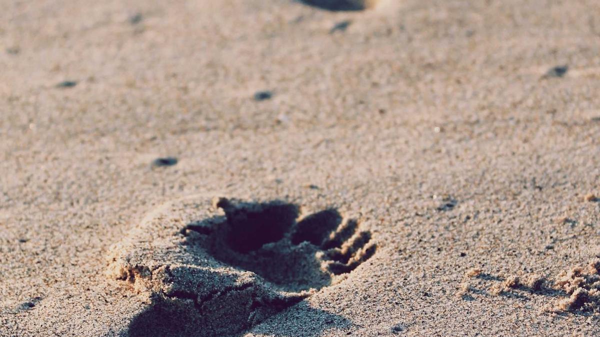 Illustration zu Mark Medlock Comeback