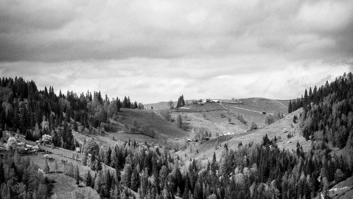 Symbolbild zum Thema Mark Medlock