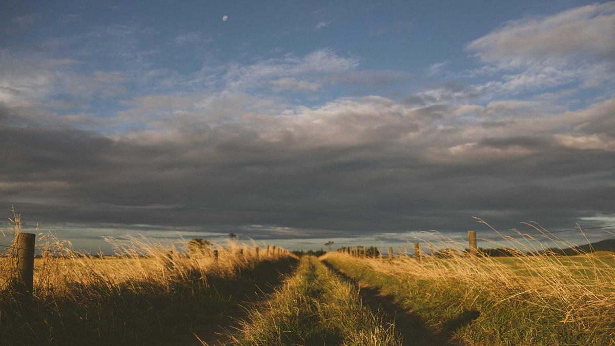 Detailansicht: Naples – Ac Milan