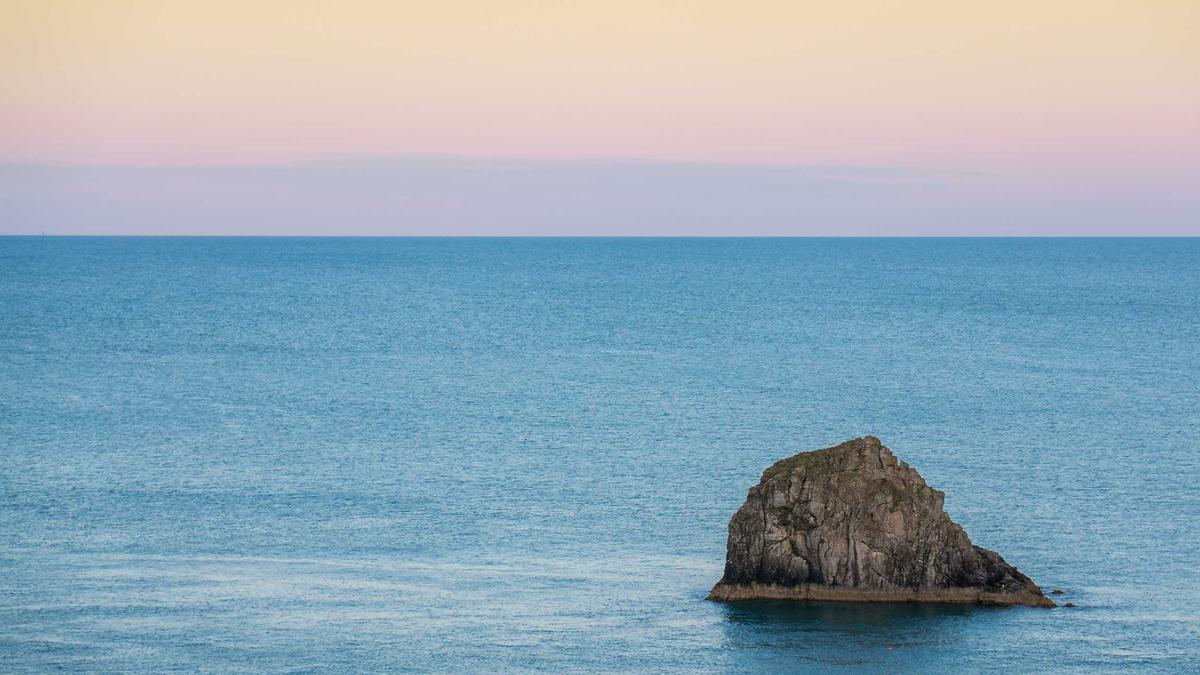 Netflix Roommates Premiere Illustration zu Netflix Roommates Premiere