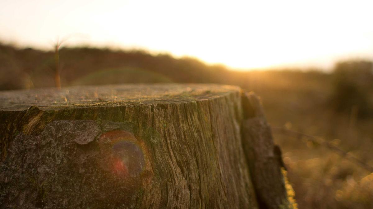 Notlandung Detailansicht: Notlandung