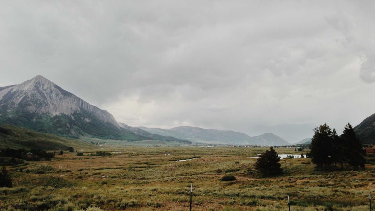 Detailansicht: Peter Westenthaler