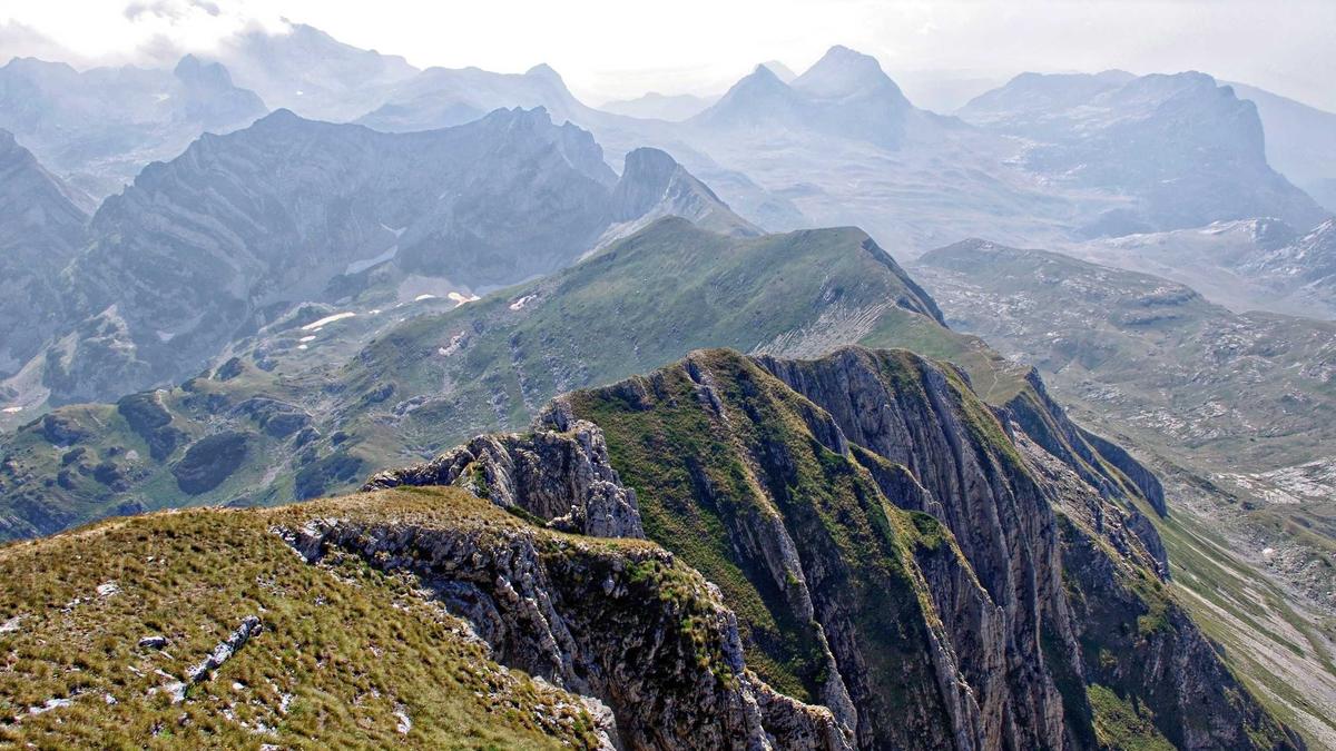 Pippa Middleton Nachbarschaftsstreit Detailansicht: Pippa Middleton Nachbarschaftsstreit