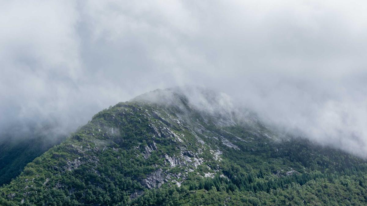 PSG Liverpool Illustration zu PSG Liverpool