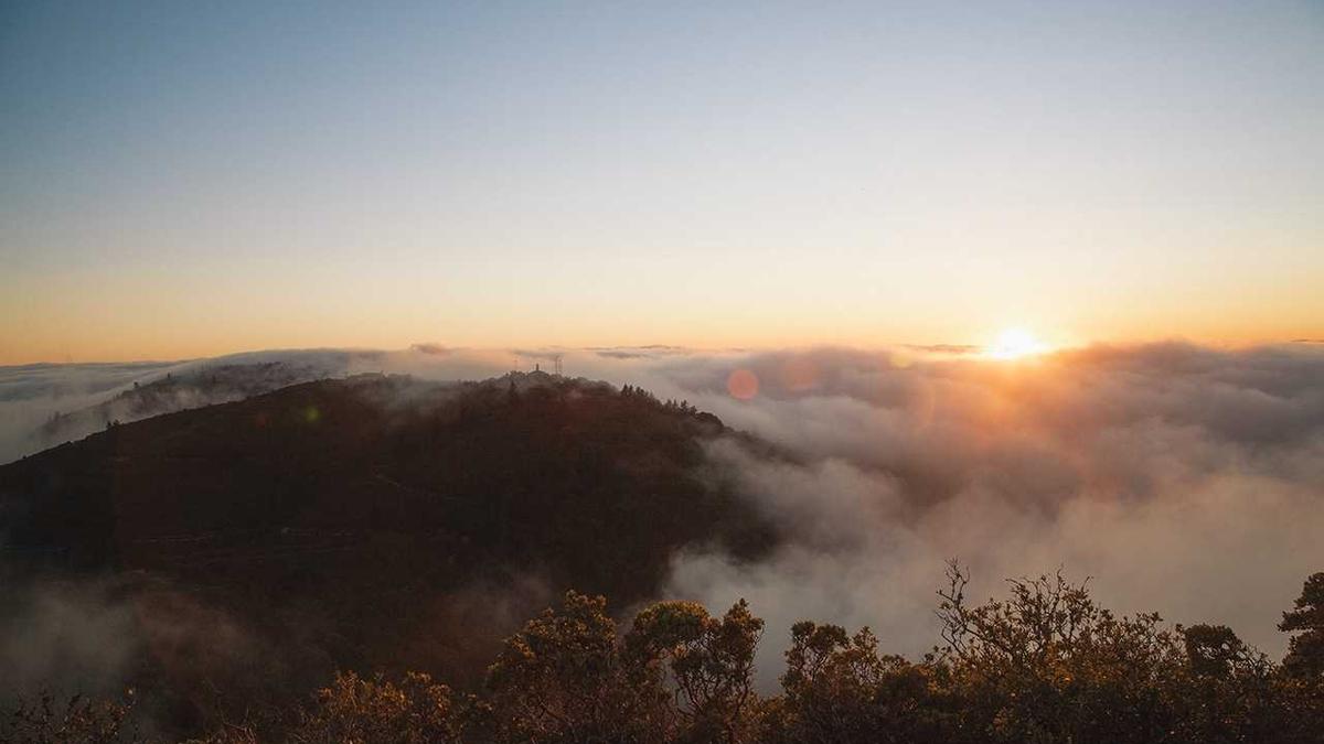 Detailansicht: PSG – Toulouse
