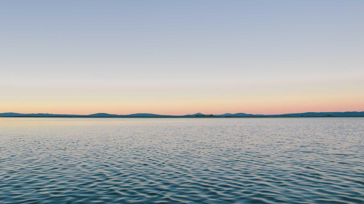 Illustration zu Restaurant