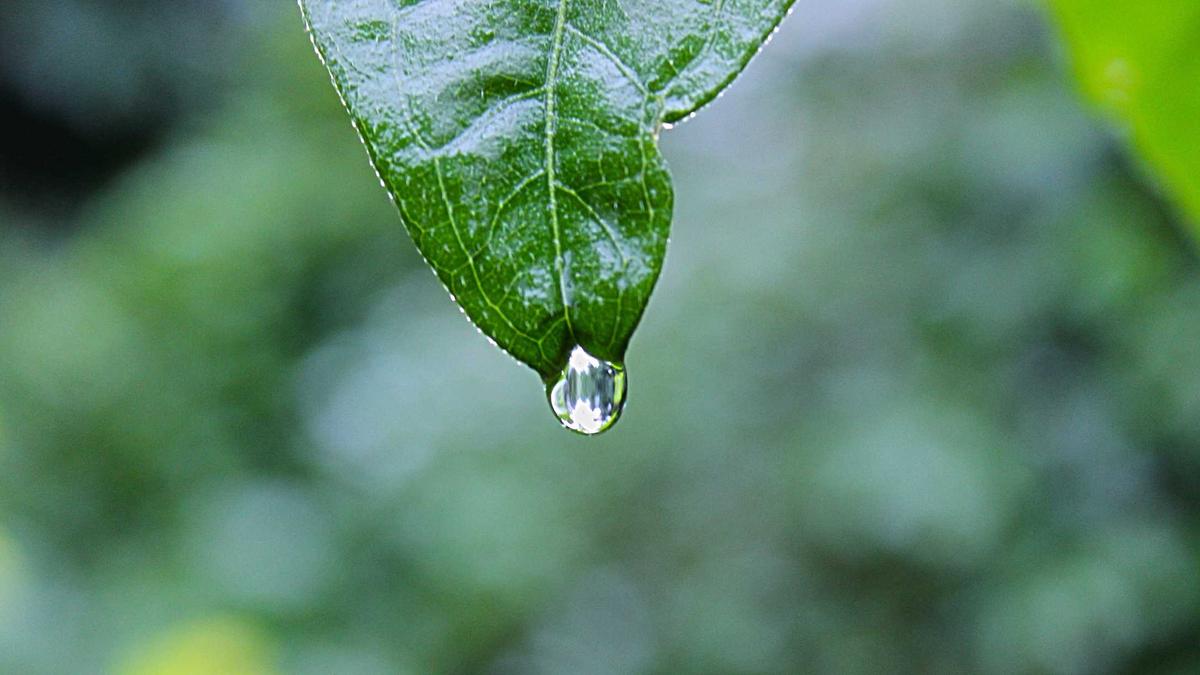 Symbolbild zum Thema Robert De Niro Tochter
