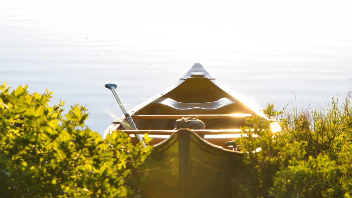 Symbolbild zum Thema Schwarzfahren Entkriminalisierung