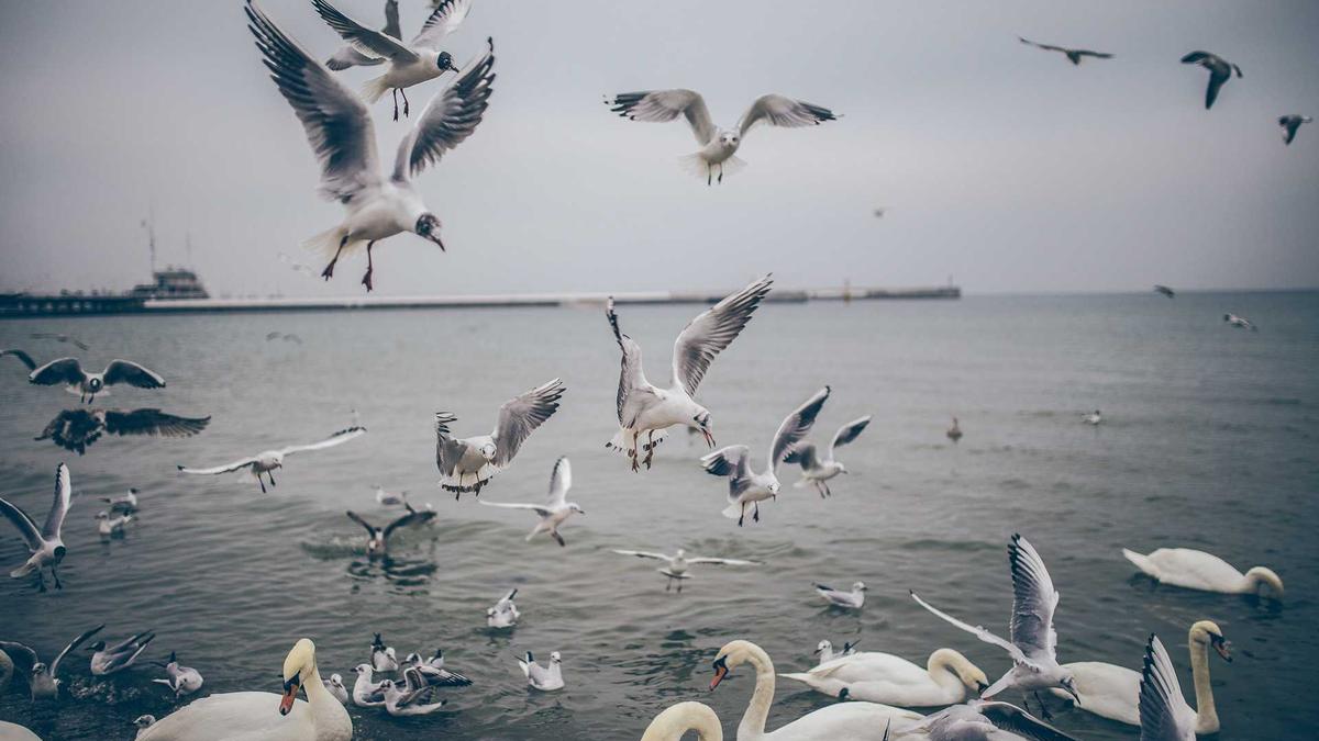 Detailansicht: Sikh Tempel Moers