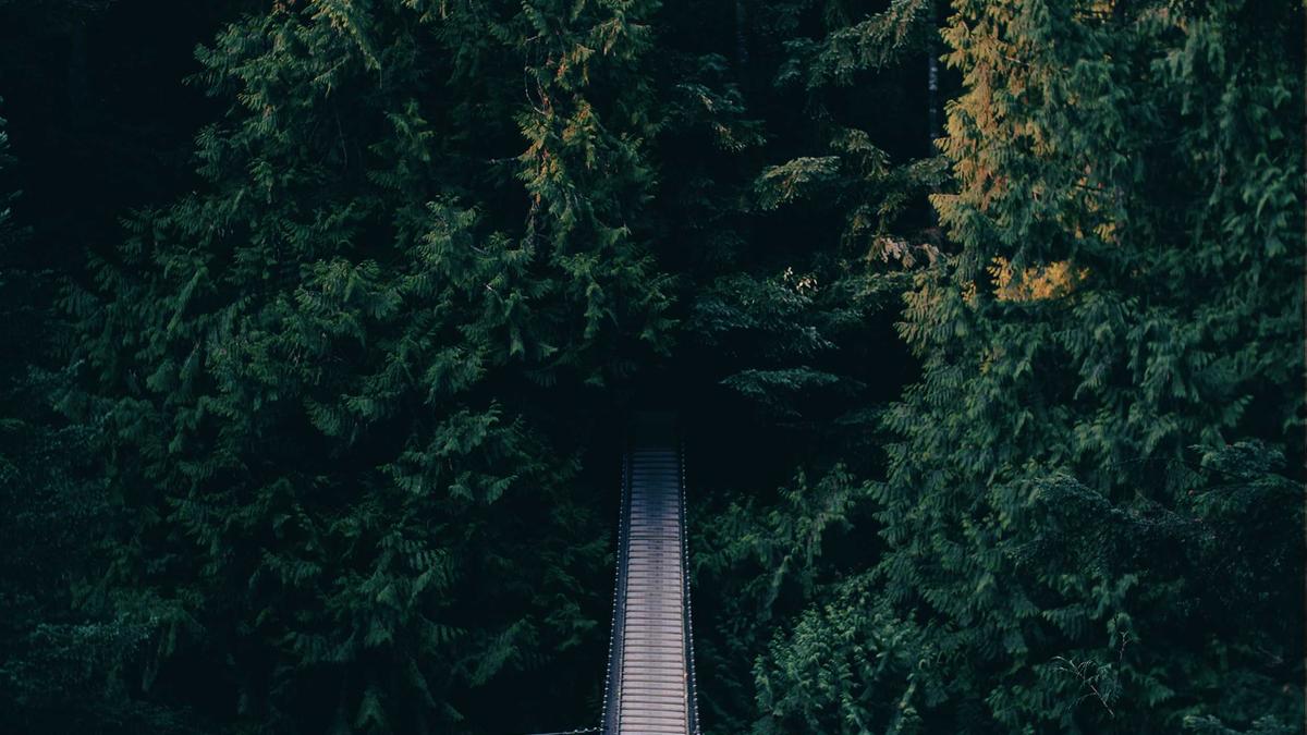 Illustration zu Spargel Blätterteig Rezept