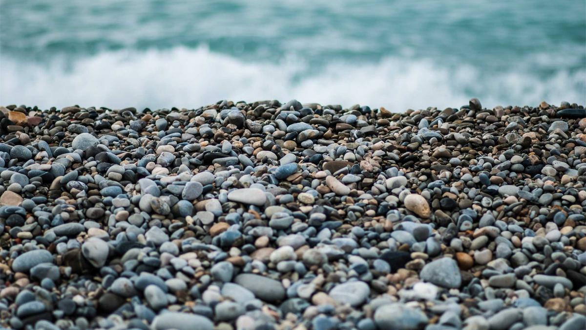 Symbolbild zum Thema Sterbender Wal Ostsee