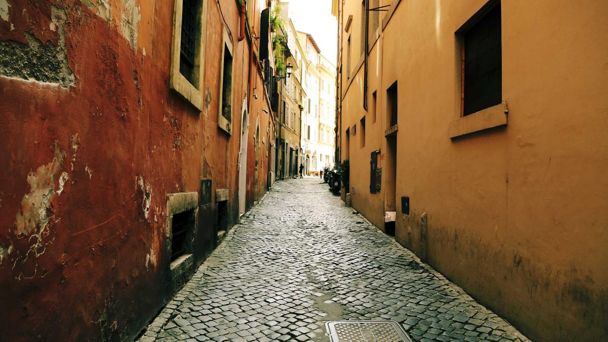 Störche Deutschland Symbolbild zum Thema Störche Deutschland