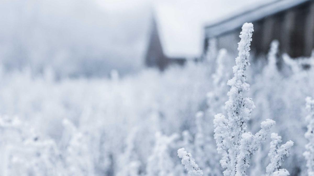 Illustration zu Super Mario Yoshi Popcorn Eimer