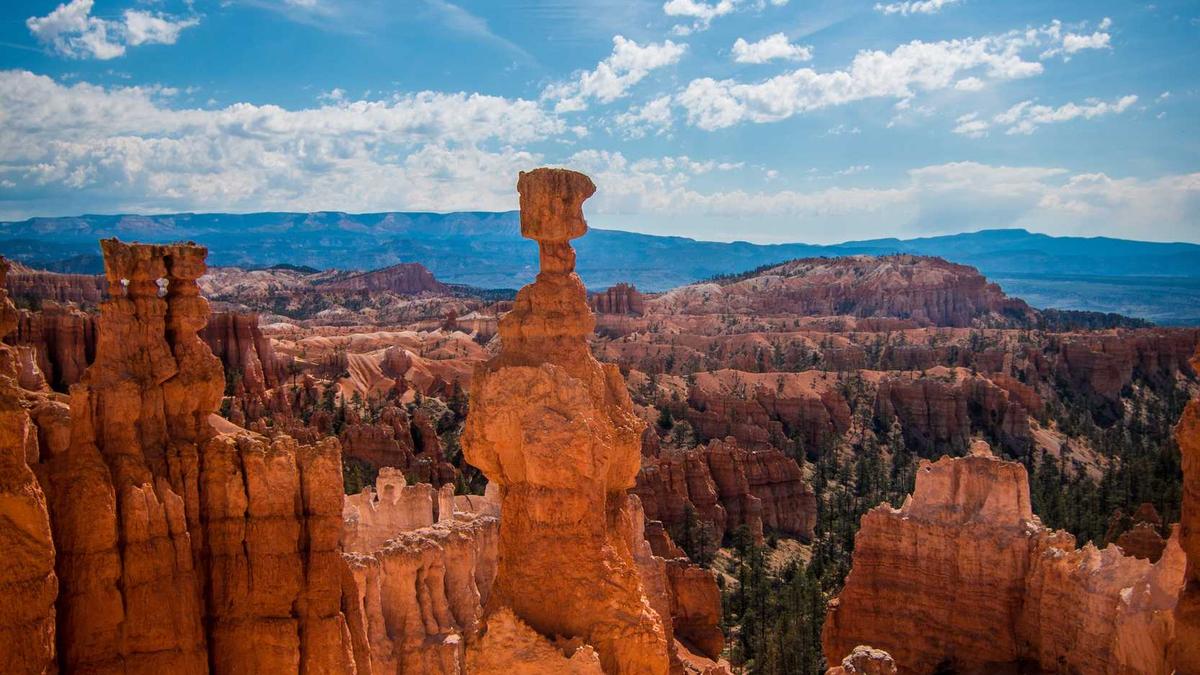 Illustration zu Twenty4tim Lets Dance