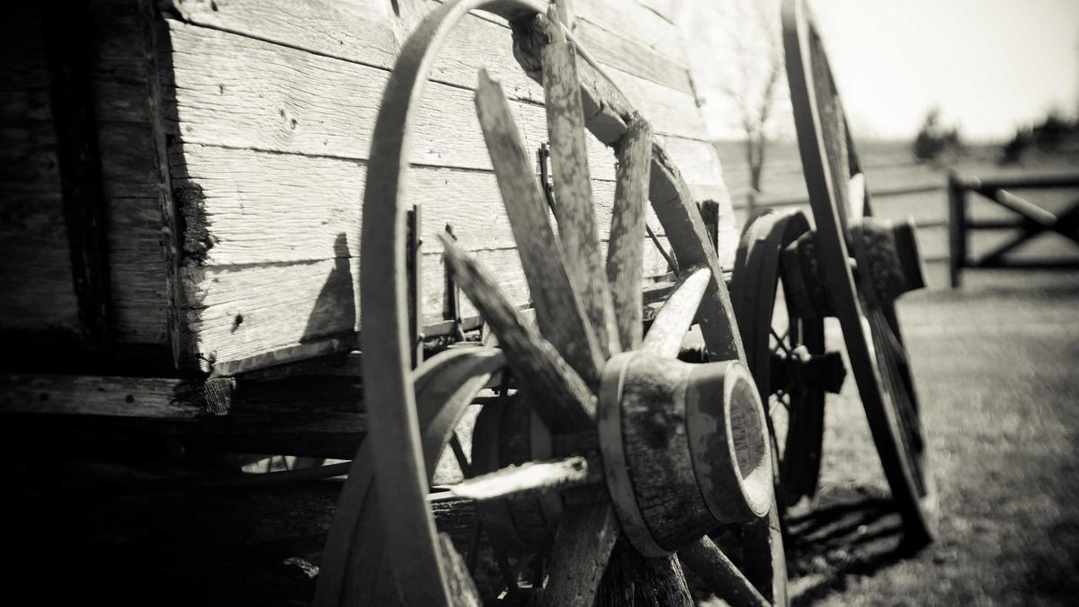 Detailansicht: Upamecano