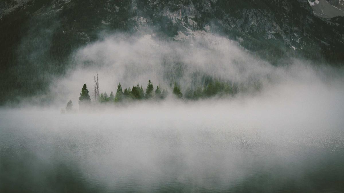 Detailansicht: Waldbrand Eisbach