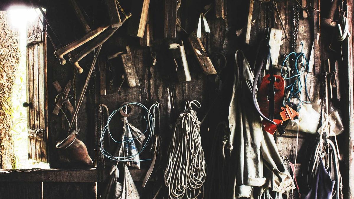 Detailansicht: Walstrandung Ursachen